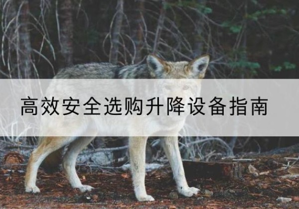 浪卡子升降货梯厂家推荐-*安全选购升降设备指南