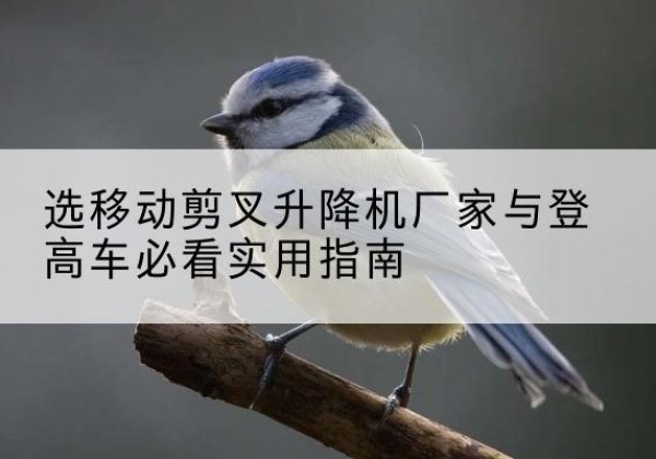 浪卡子电动升降机厂家-选移动剪叉升降机厂家与登高车必看实用指南