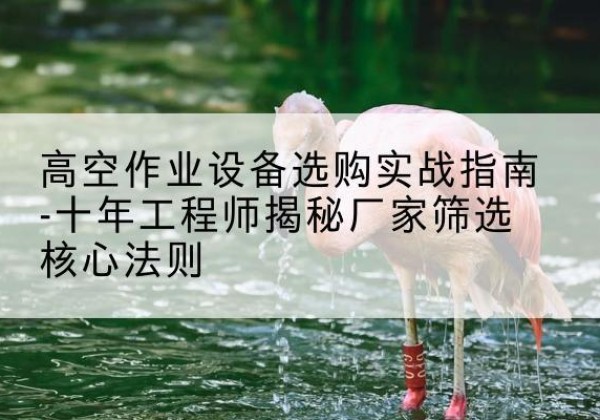 浪卡子剪叉式升降机厂家-高空作业设备选购实战指南-十年工程师揭秘厂家筛选核心法则